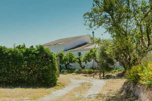 Farmhouse for sale in Ardales, Málaga. 